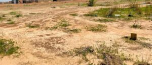 Vente de parcelles par la SONATUR : et les citoyens lambdas dans tout ça ?